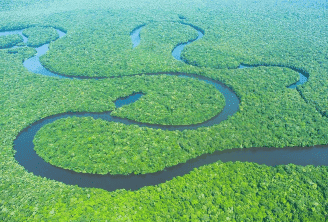 Parque Nacional do Jaú